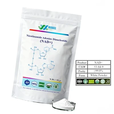 Nikotinamid Adenin Dinükleotid